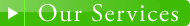 Our Service